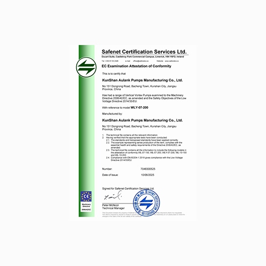 CE Certification – WLY-07-200