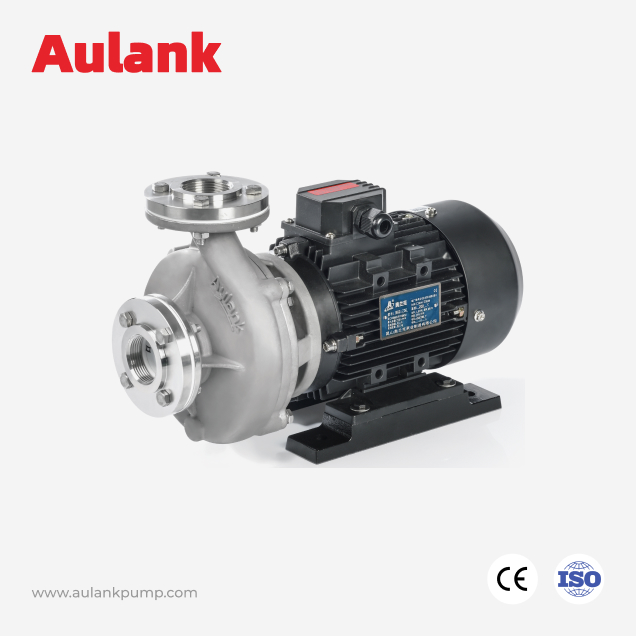 RGZ Cast Iron / Stainless Steel Centrifugal Pump