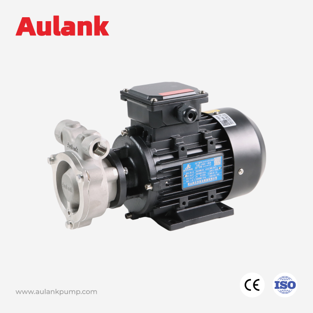 WK High-Head Vortex Pump