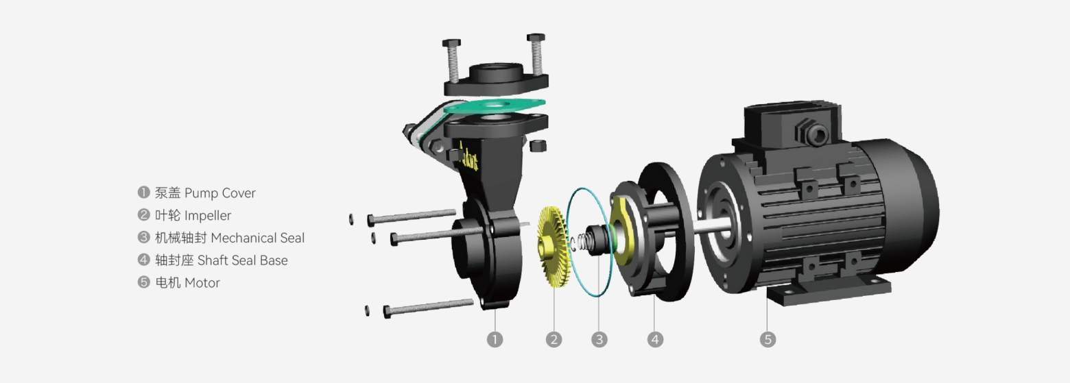 WM Stainless Steel/Cast Iron Vortex Pump exploded structure