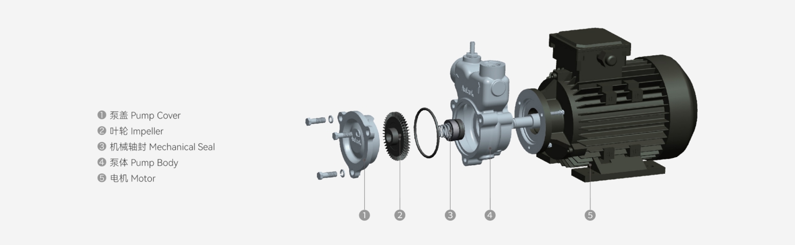WH Stainless Steel Vortex Pump exploded structure
