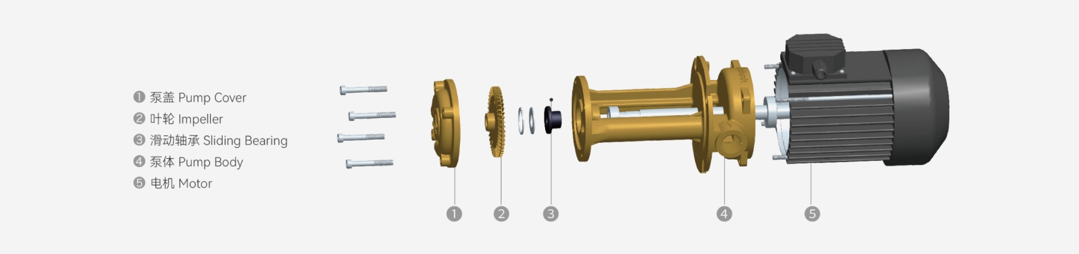 WL Vertical Vortex Pump exploded structure