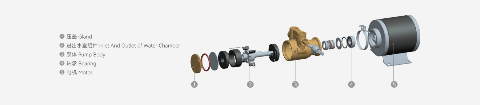 (P)VP series pump internal structure with pump body, bearing assembly, water chamber and direct coupled motor
