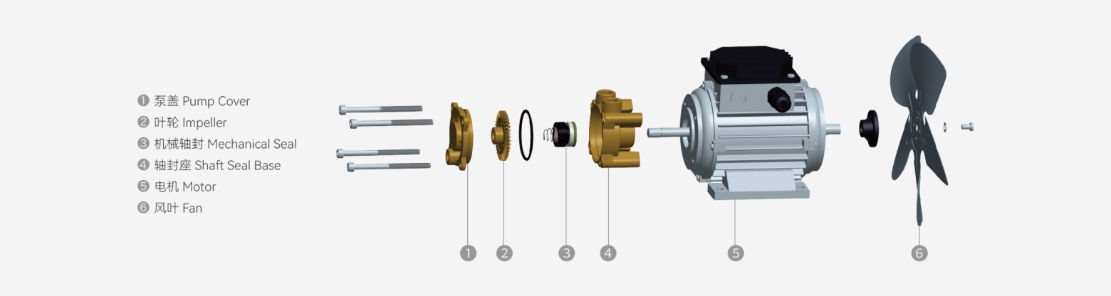 WD-W Brass / Stainless Steel Vortex Pump exploded structure