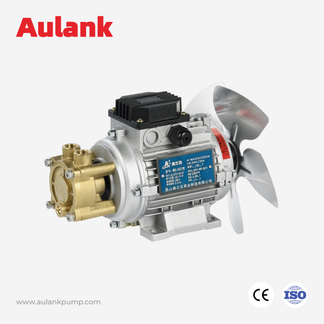 WD-W Brass / Stainless Steel Vortex Pump