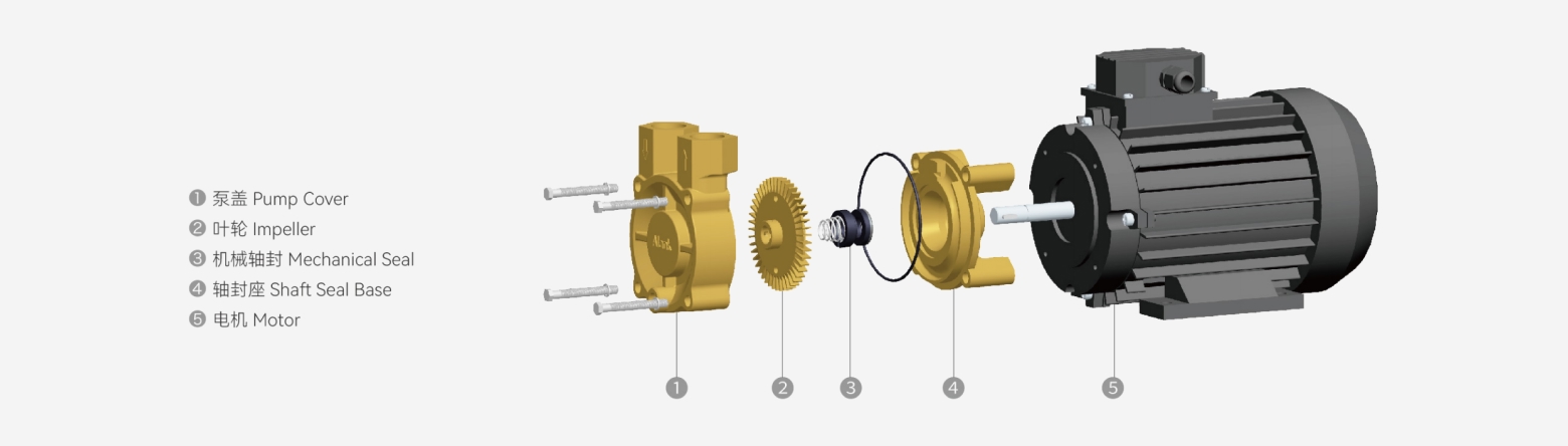 WD Brass / Stainless Steel Vortex Pump exploded structure