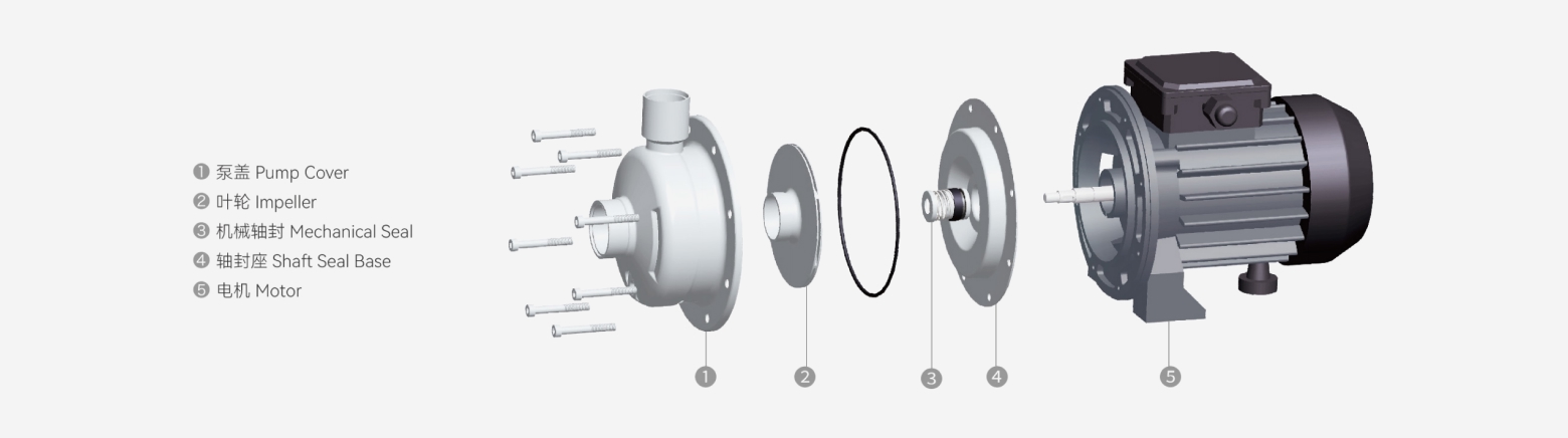 CPS(L) Stainless Steel High-Flow Centrifugal Pump exploded structure