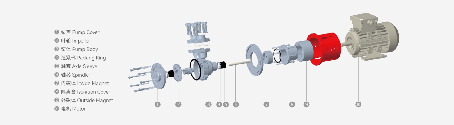 MDW stainless steel vortex magnetic pump exploded structure