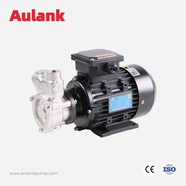 WH Stainless Steel Vortex Pump