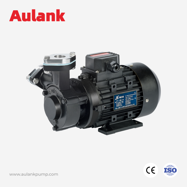 WM Stainless Steel/Cast Iron Vortex Pump