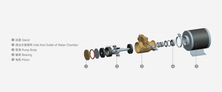 (P)-VP high-pressure vane pump exploded view — gland, inlet and outlet water chamber assembly, pump body, bearing, motor