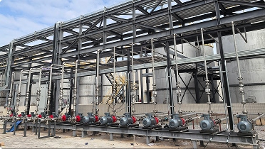 Chemical & Petrochemical Processing