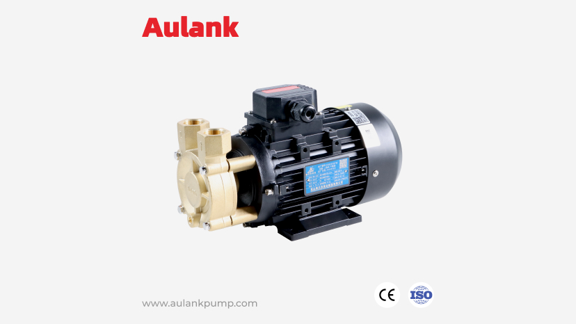 What Is A Vortex Pump?